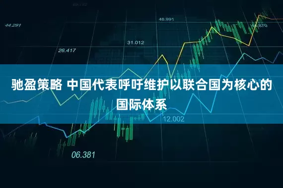 驰盈策略 中国代表呼吁维护以联合国为核心的国际体系
