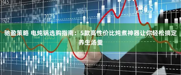 驰盈策略 电炖锅选购指南：5款高性价比炖煮神器让你轻松搞定养生汤羹